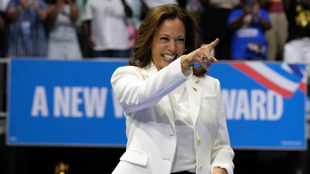 Margin of error race between Harris and Trump as 2024 election enters final stretch