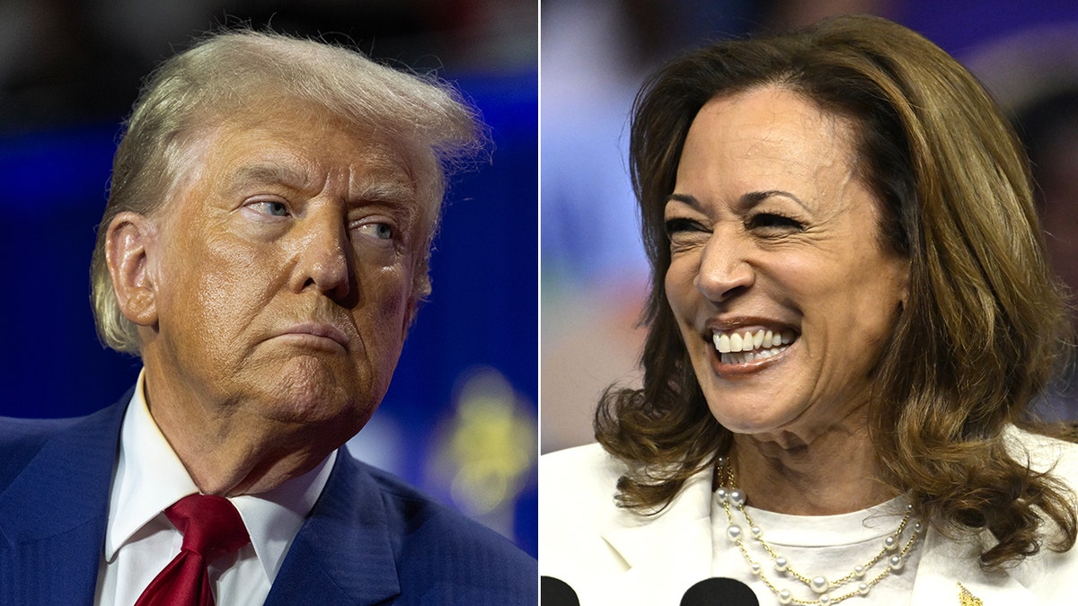 Margin of error race between Harris and Trump as 2024 election enters final stretch