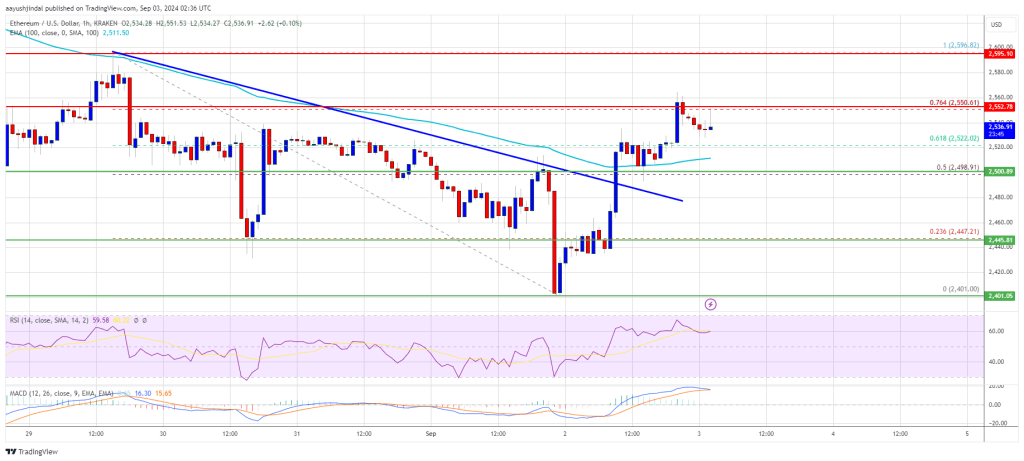Can Bulls Sustain the Recovery?
